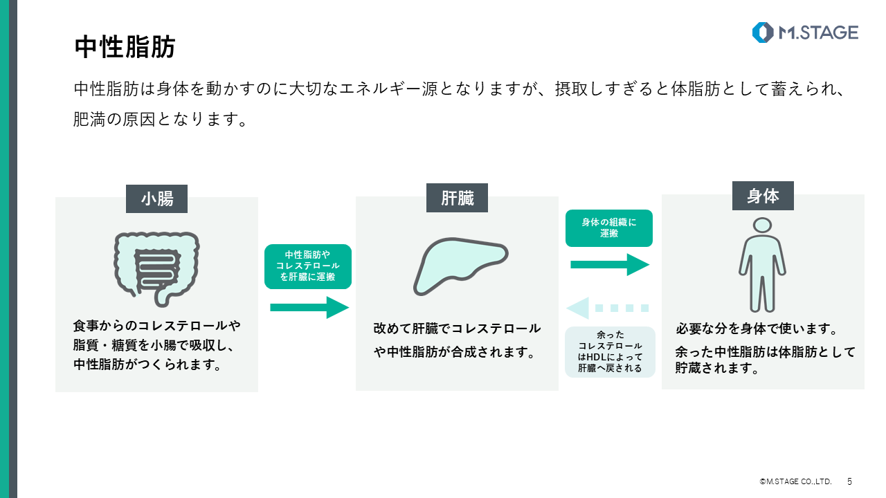 【スライド】脂質異常症について-5