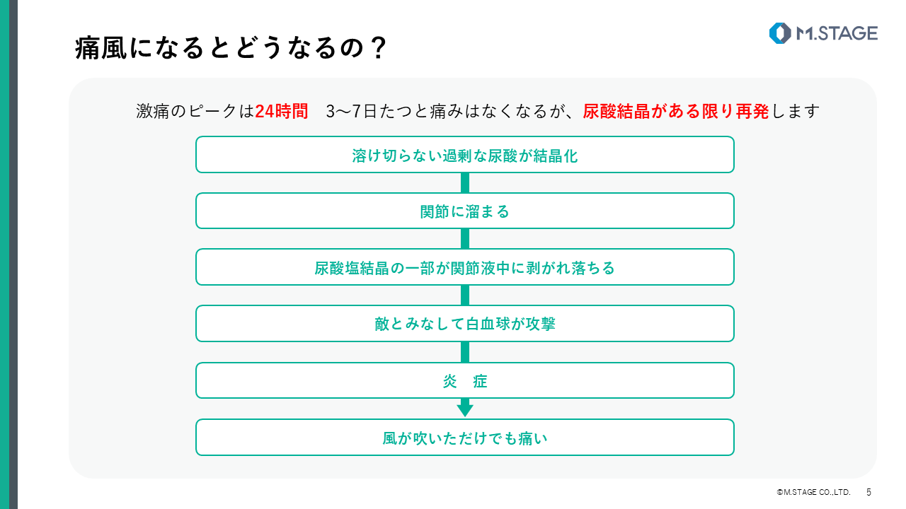 【スライド】尿酸について-5