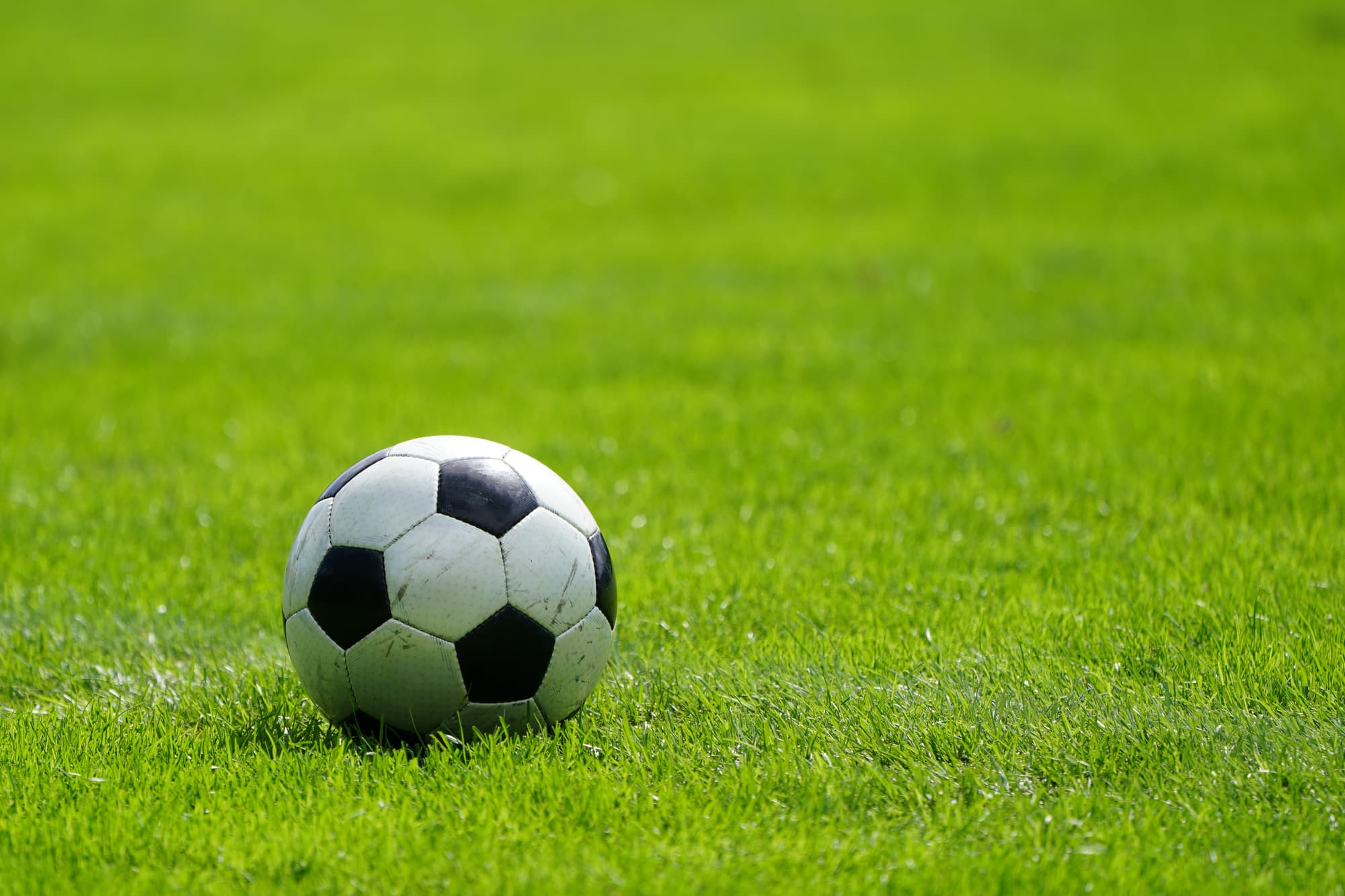 株式会社サンフレッチェ広島